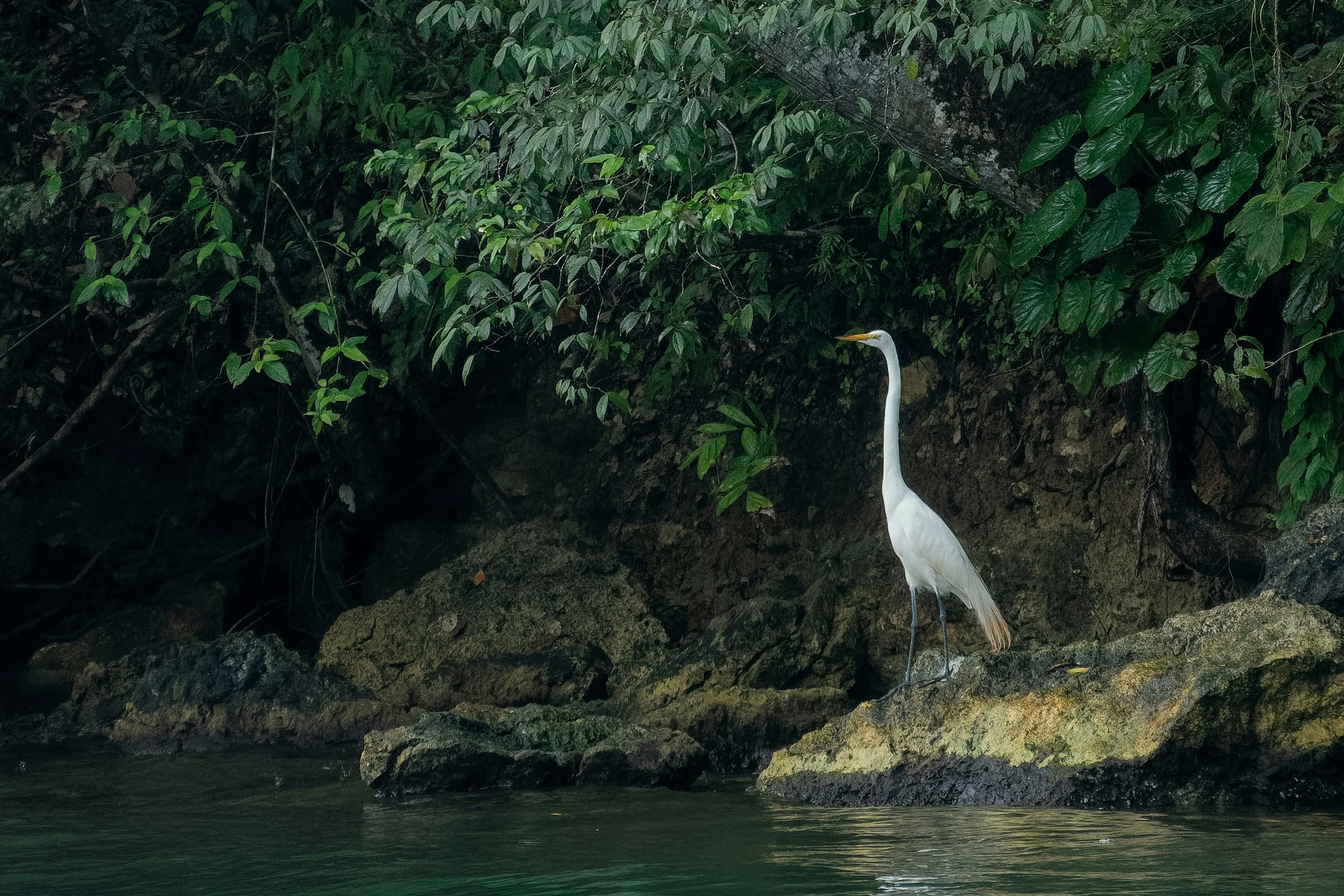 이국적인 문화, 매혹적인 자연이 함께 있는 카리브해의 보석, 리오둘세(Rio Dulce)