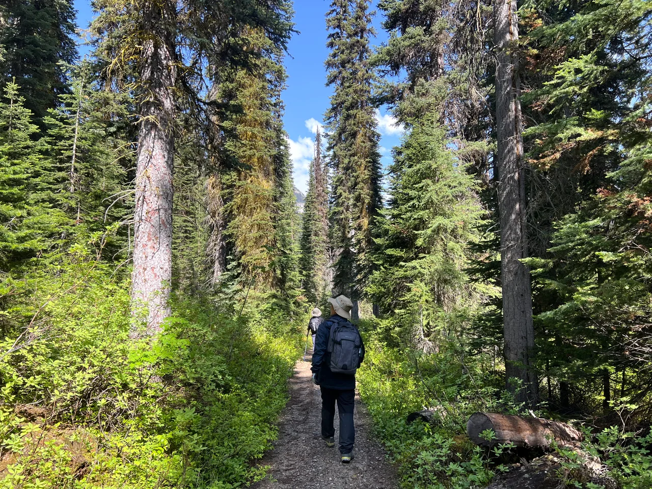 재스퍼 국립공원의 중심지, 재스퍼(Jasper)