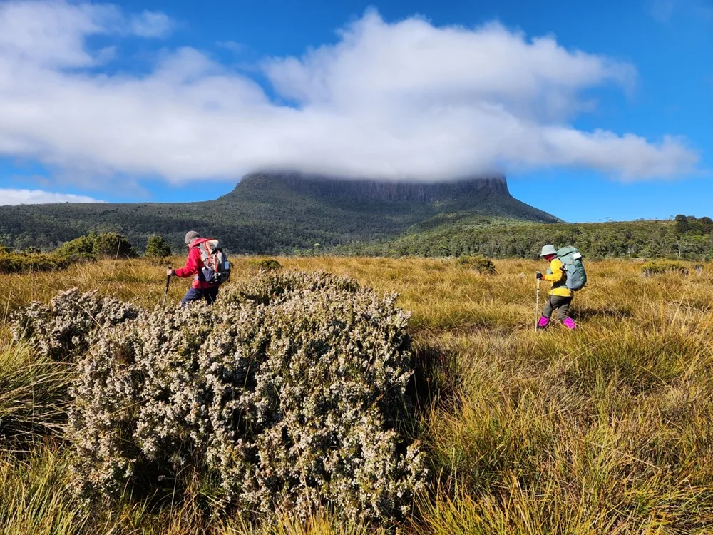 독특한 자연과 희귀한 동물을 만나는 크레이들 마운틴 국립 공원