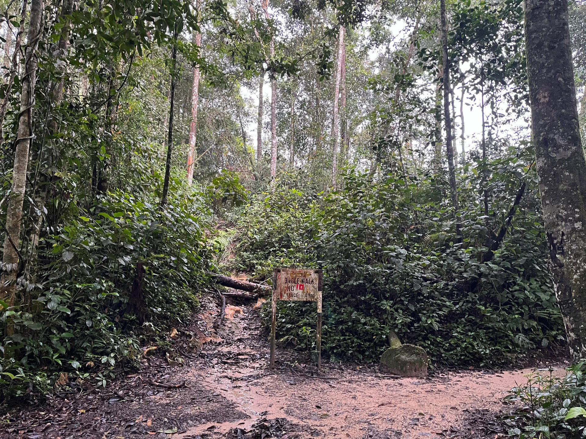 카오속 국립공원의 하이킹과 세일링