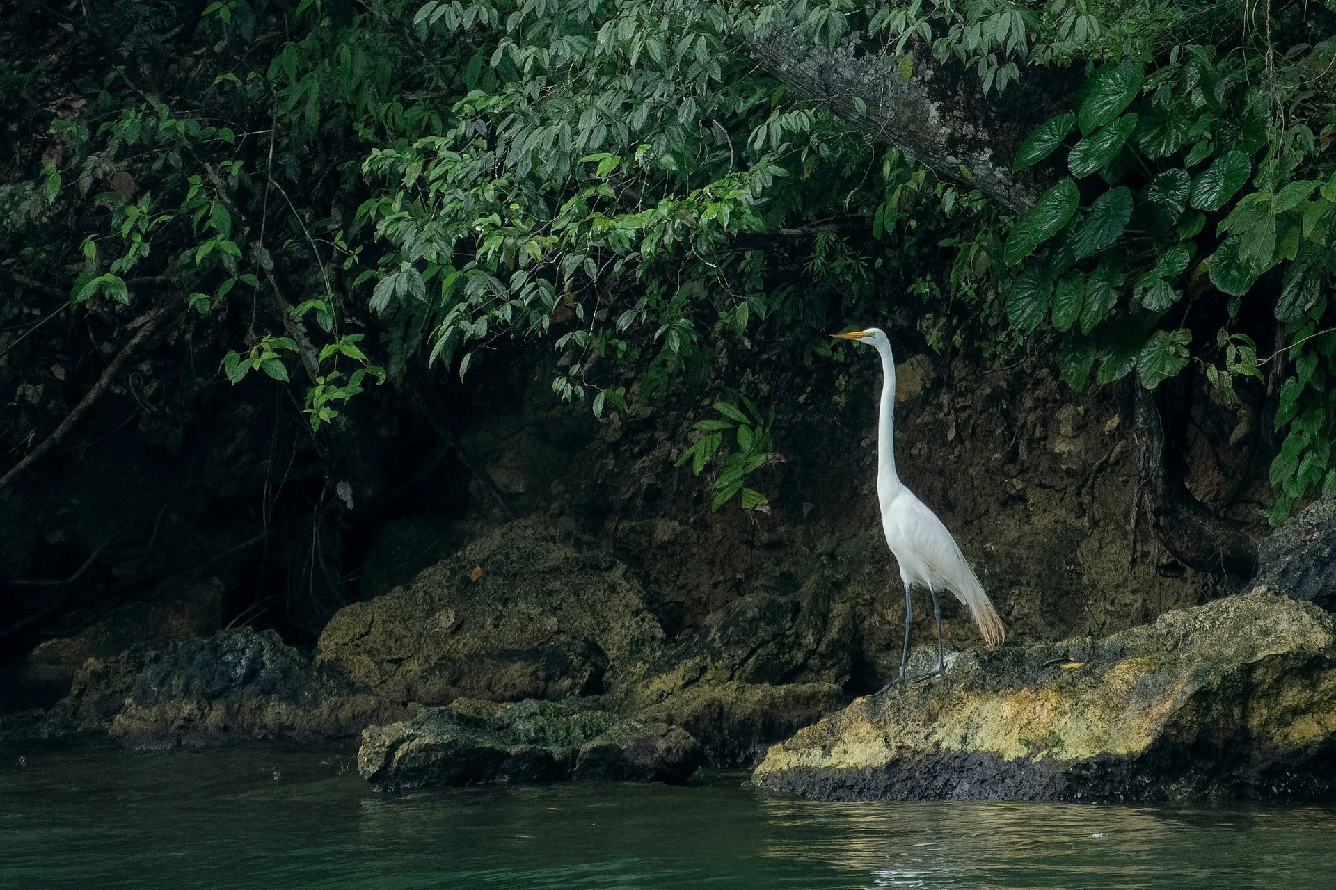 이국적인 문화, 매혹적인 자연이 함께 있는 카리브해의 보석, 리오둘세(Rio Dulce)