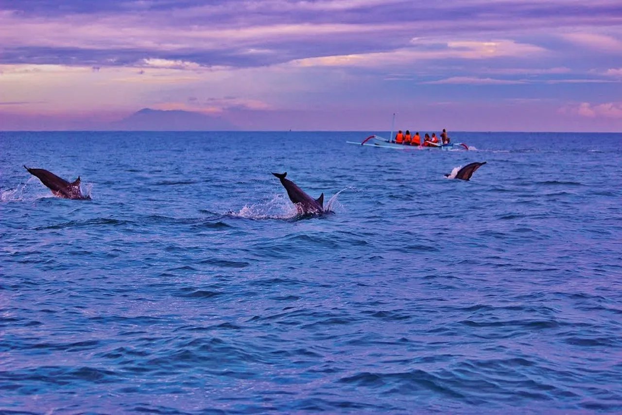 https://pixabay.com/photos/bali-dolphins-sunrise-lovina-286830/