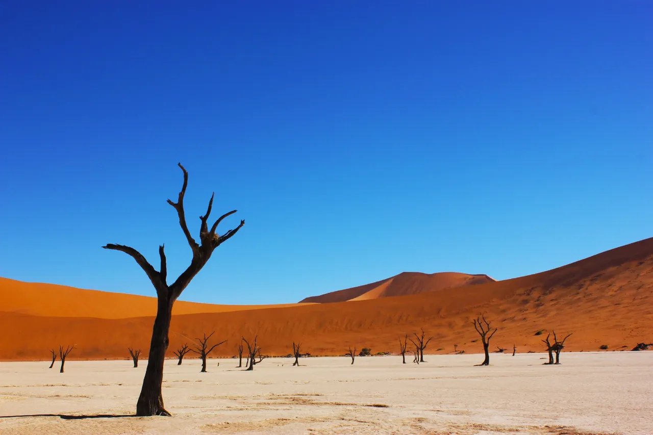 나미브 사막(Namib Desert) 남쪽깊숙이 위치한 Sossusvlei 는 전세계 사진가들의 불러 모은다.