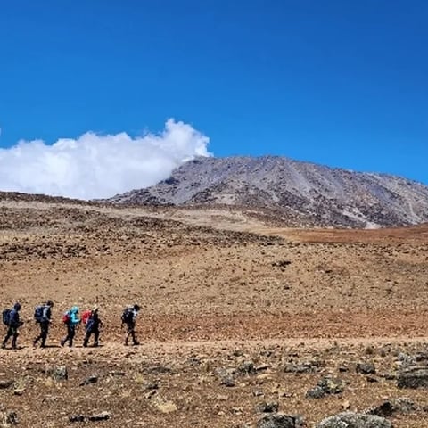 킬리만자로 산장트레킹 (5895m)과 응고롱고로 사파리 사진