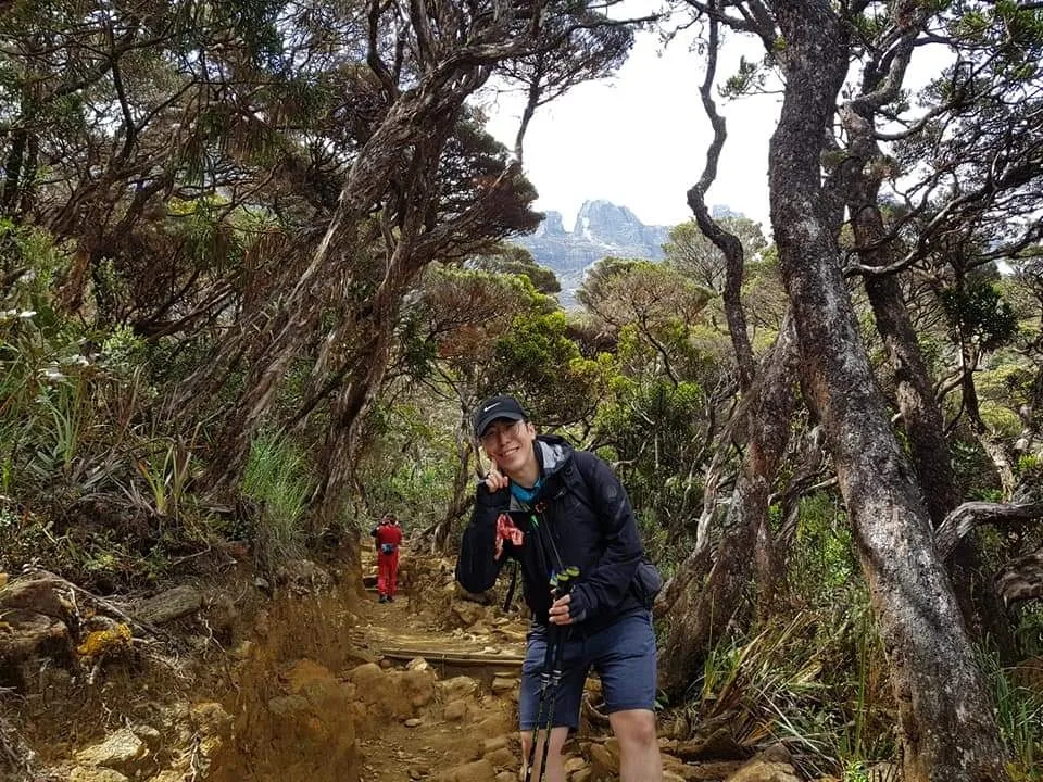 산행 중 만나는 열대우림