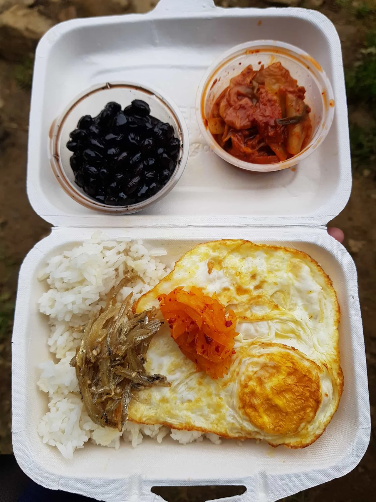 산행중 제공되는 도시락