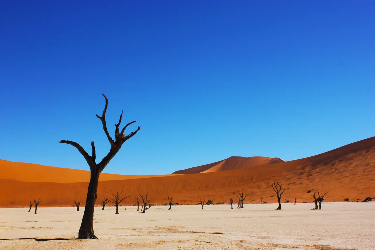 나미브 사막(Namib Desert) 남쪽깊숙이 위치한 Sossusvlei 는 전세계 사진가들의 불러 모은다.