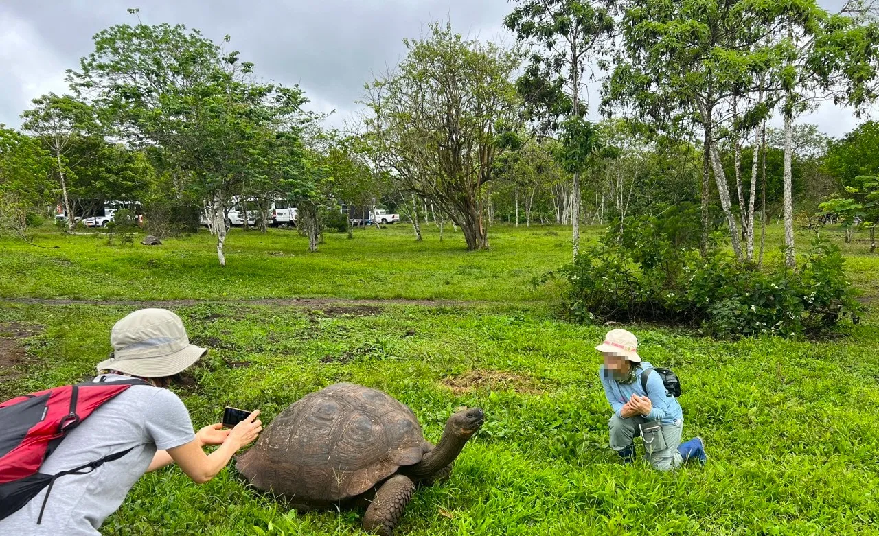 갈라파고스 거북