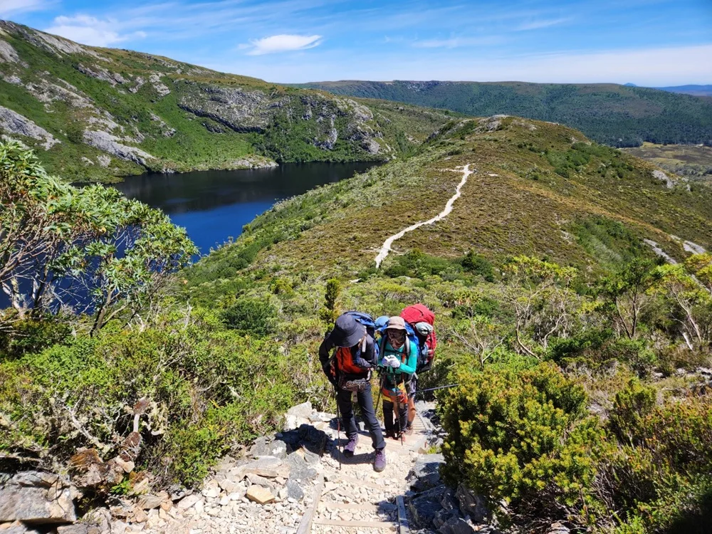 태즈매니아 오버랜드 핵심 트랙