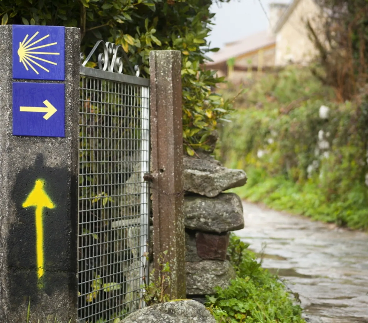 까미노 데 산티아고 100km (셀프 가이드)